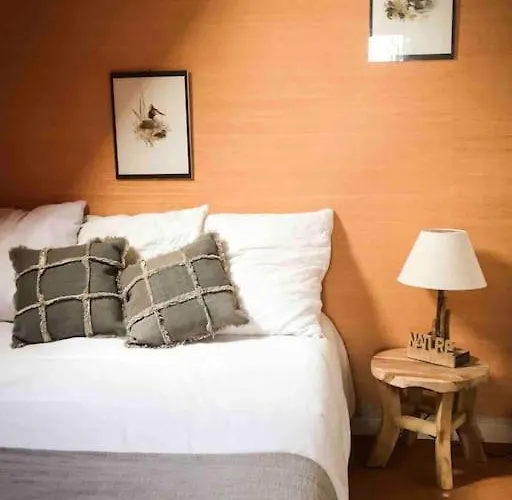 Chalet Adorable Sur Le De Payolle